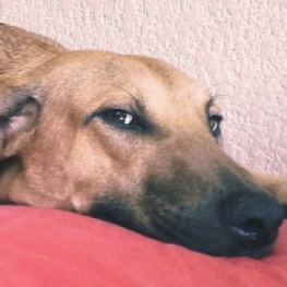 D dd27ede5 9027 40c1 b7e9 59579dfc611b