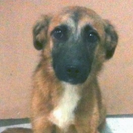 D f0af5604 4ff2 4508 9464 d46e1f21e0b8