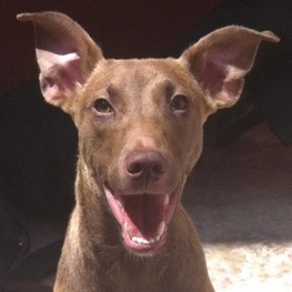 D d5d52d36 8540 4622 8335 fe3c50664f29