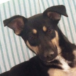 D b73848b0 82d0 46fa 8aae 8e5c5226ecb8