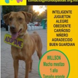 D 3e191d8f 8a51 4d6f ab71 7bd57676edc7