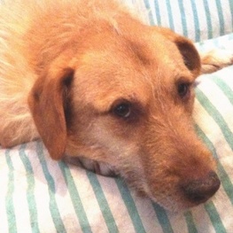 D c8a5bf64 c4ba 4241 b43b 8aab2e06ef78