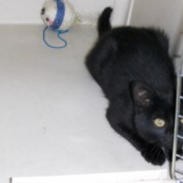 D 75eee59c 441e 41a6 8228 8b9e3e9b71f0