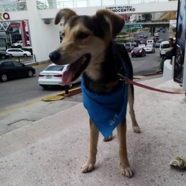 D ccfda765 edd2 4668 a040 1269209f4383