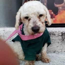 D edb71263 c185 4aac 9fcb 45da58b1b45f