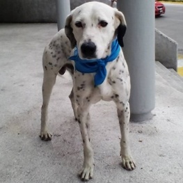 D 66578df3 aa6d 4086 a24f b7e0d16e7090