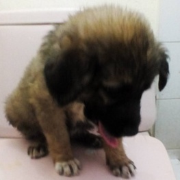 D 65897023 9990 4b28 9680 4270ab2bc58c