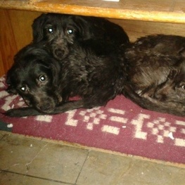 D b849f545 1b7b 49d7 ad15 766cba506367