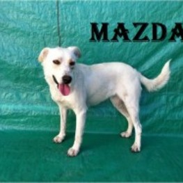 D 4feaf281 6ab2 464c 8604 12def6ec57df