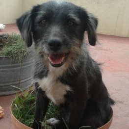 D bec8b82c 89c2 4d6e a692 ab522a049877