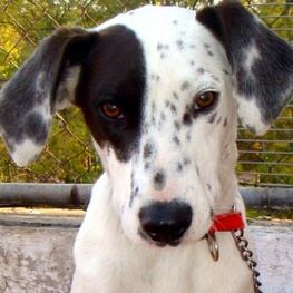 D f266bbdc 7212 4bb2 a5ba 7164e8842e25