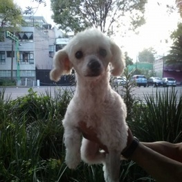 D 99d11525 5f53 44b9 885f 390a4d37ac43