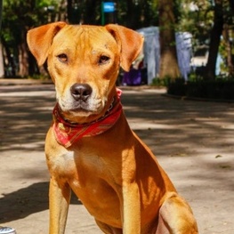 D 14b9811d 8d66 48cd 8327 d2ff0e30fad8