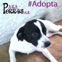 D 67eb1141 0d3c 41e1 bc30 4c674de53671