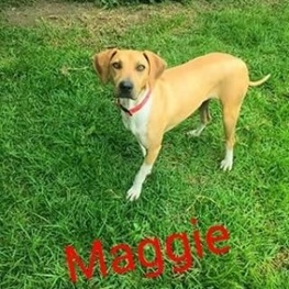 D 60c9b991 8a54 4d93 aa9f 1a7cf41b0e38