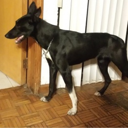 D 79507ae6 9767 4760 b2bb 9e3e980b8e7f