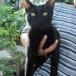 D f2da419b 13ce 4dbd a2f8 13dede6d01fe