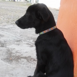 D 705d936d 327c 4c86 8255 60211fd9e6cc