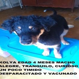 D 6e71f047 1bc5 4349 8b6e 69726eb1baf3