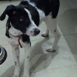 D d69fe058 3a4f 4e65 9d6e d5d7f162e0df