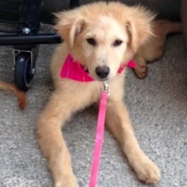 D bc009df6 120a 487f ab2b f25038e10e14