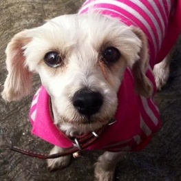 D 5286c16a 8669 4117 a75c 4d351ecca43a