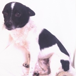 D 566003ff 2c5d 40cc 959a 7ee59a689215