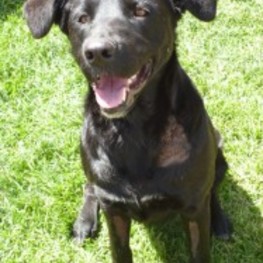 D a36dc7d1 768c 4e7e 853a 720a7d3e7fc5