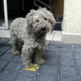 D 970f2a7f 8864 4ae2 8e16 1446986de9d0