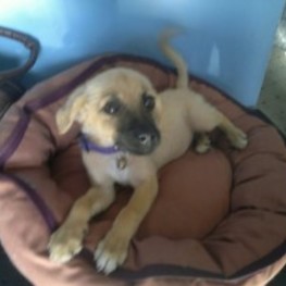 D 6fb168dd d65d 466c adc4 5914d4741fc7