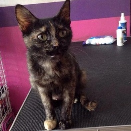 D 4efac344 af87 4339 a611 2f9102135d89