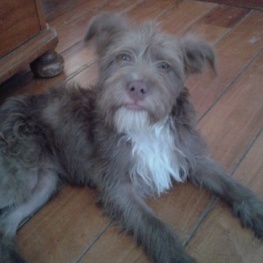 D f1ea9a8b 11ef 4547 9998 4575f9bffdd6