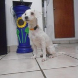 D 4771ce4f 4c5d 461b adf2 72cd9511554b