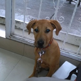 D 4bc59caf 636d 477f a94a 96056f0d85b3