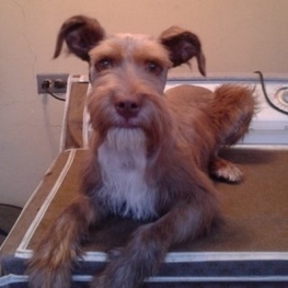 D a6fba426 324f 44e4 a0be 5e6714821c0b