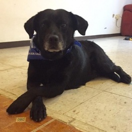 D d8e7fe18 a2c7 4dfc 915c e56ae46aa15d