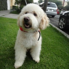 D cd7b3a4b eab2 4bef 8481 e9cab06c5d1a