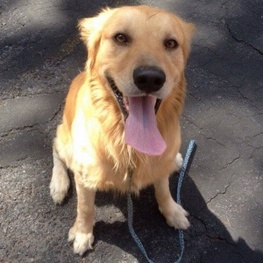 D 147687c4 de66 4cff 9123 fb474d31408a