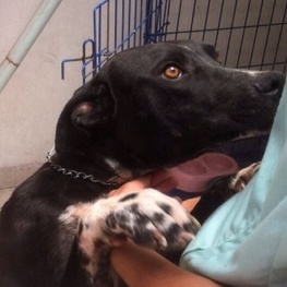 D 20c23a61 cdeb 4834 a7a6 be915fec1a54