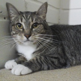 D 9193aa37 783f 49a0 b2f6 71f6ae55c675