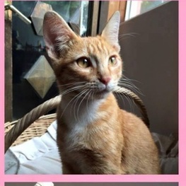 D 549f43ef d1c0 4727 8181 0744d5c0732f