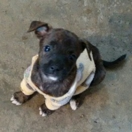 D 588d4bb9 01dc 4d28 a5b2 0776b0b8dc08