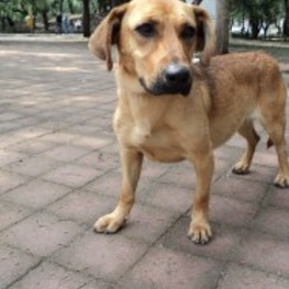 D d2e8d3a7 6fc8 4f37 b081 be30d895086c