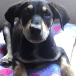 D a3442aa9 8bbb 4c98 b133 81b30b641446