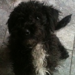 D 95ee068b b810 4264 a677 a7e15bd1aeb9