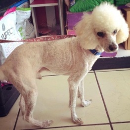 D 030de263 afce 4dbe b4d6 2cafb3576f61