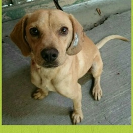 D 62e8d848 0441 4308 b640 67adcf235373