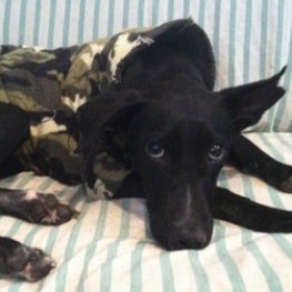 D caa10c75 9c93 4121 bb44 850c14df8072