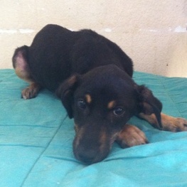 D 71cac15f 9515 441c 9768 f78111b28d52