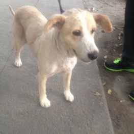 D de9c88d7 bf34 4c17 bb06 0628e62202ed